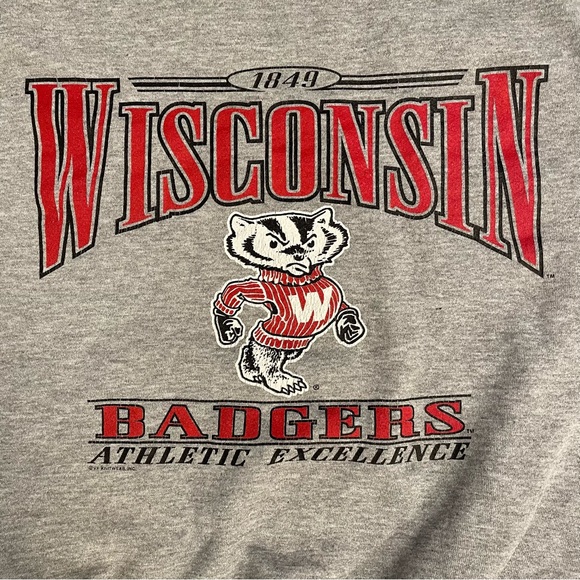 Vintage University of Wisconsin Badgers Crewneck Sweatshirt Gray M Lee Sport 90s - Picture 2 of 6